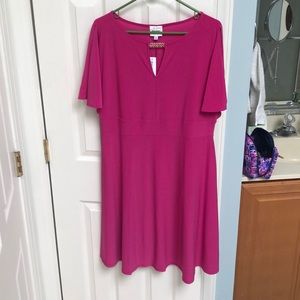 Pink Dress Barn Dress NWT